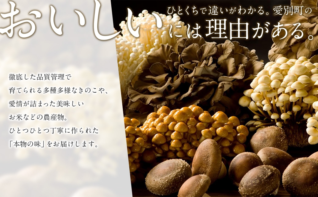 【星農園の「STAR RICE」】 ゆめぴりか 2合 × 20パック 計6kg｜  最上品質米 ご飯 ごはん 米 お米 おこめ ライス こめ コメ おにぎり リゾット パエリア お弁当 小分けサイズ 真空 長期保存 家庭用 自宅用 産地直送 北海道 愛別町