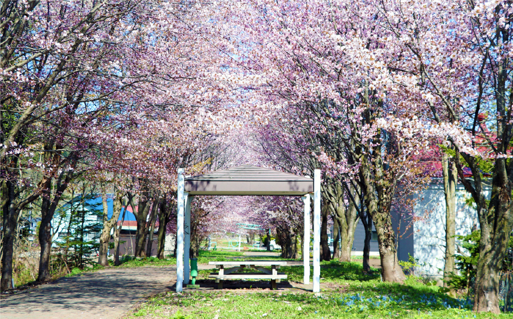 諢帛挨逕コ縺ク縺ョ蟇髯 5,000蜀 シ郁ソ皮、シ蜩√ッ縺ゅj縺セ縺帙sシ