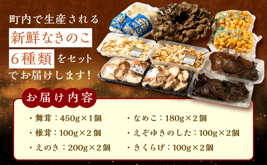 愛別 きのこ 詰合せ（6種類）セット【B05201】