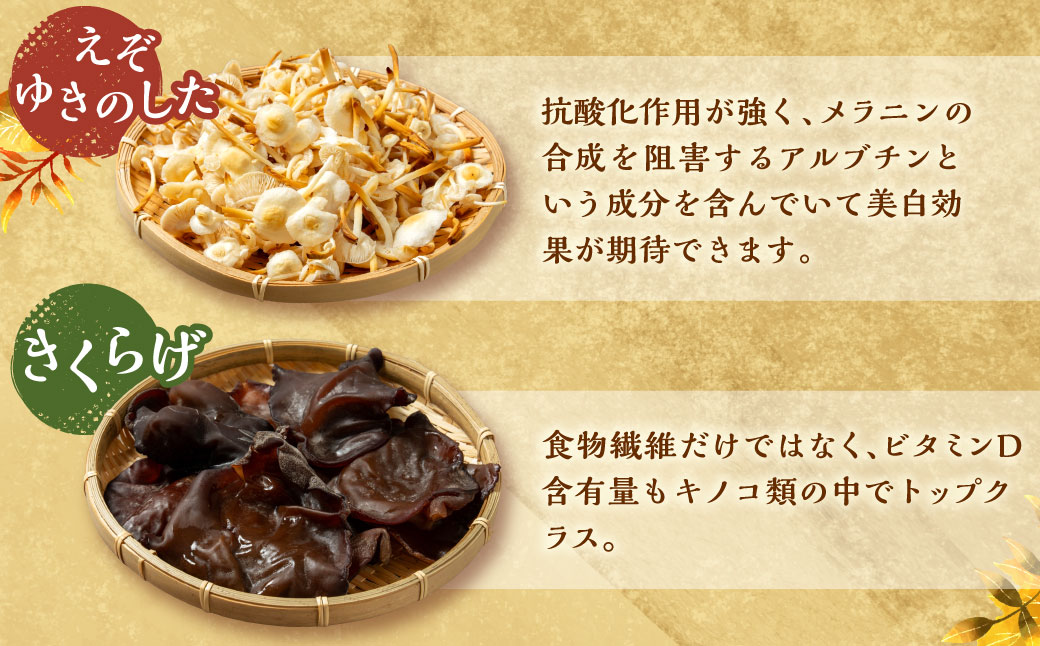 愛別 きのこ 詰合せ（6種類）セット【B05201】