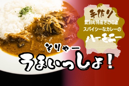 きのポックル 手作りカレー （5種類）セット【E11201】