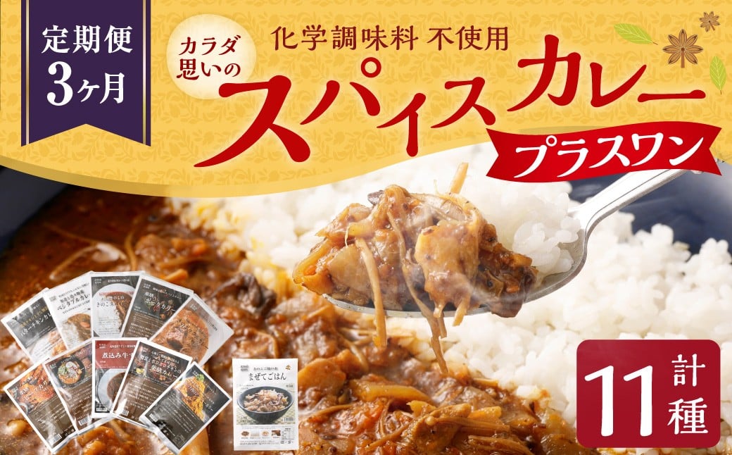 カラダ想いのスパイスカレープラスワン（カレー4種×2回、カレー２種ときのこご飯の素１種2袋×1回）毎月【3回定期便】 きのポックルカレー まぜてご飯 豚バラジンジャーカリー きのこスパイスカレー 薬膳ビーフカリー スープカレーベース ベジタブルカレー バターチキンカレー 薬膳ポークカリー 煮込み牛すじカレー 舞茸とホロホロチキンの薬膳カレー スパイスカレー カレー カレーライス 3回 定期便