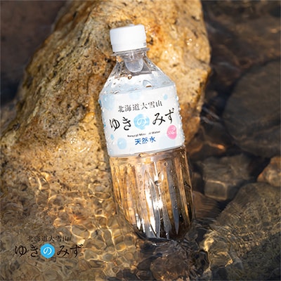 【毎月定期便】北海道大雪山　ゆきのみず　550ml×24本入り全10回【618】【4006864】