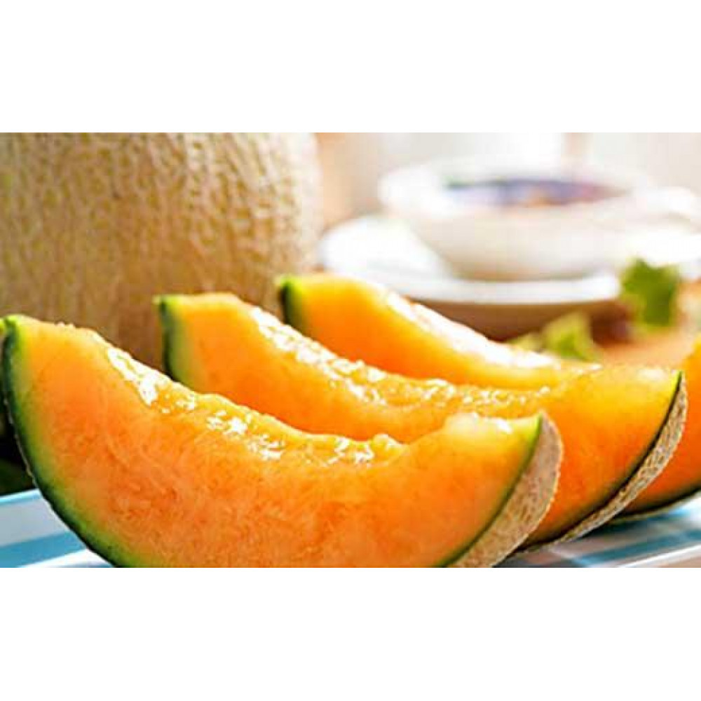 ★2026年夏発送★ 岸田農園産 北海道メロン 1玉入り(サイズ:1.8kg以上)【 果物 メロン フルーツ 北海道 上川町 岸田農園 甘いジューシー 季節限定 甘みたっぷり メロンギフト 産地直送 くだもの 】