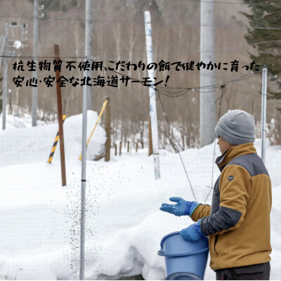 【北海道大雪サーモン 鮭味噌】160g×3個 ご飯のお供や酒の肴に ゴロっと鮭、ほぼ鮭!な贅沢な瓶詰め