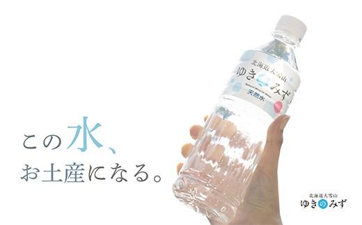 北海道大雪山ゆきのみず（550ml×24本入り）　2箱【 水 ミネラルウォーター 北海道 大雪山 自然水 軟水 クリーンウォーター ミネラル豊富北海道産水 定期便 】