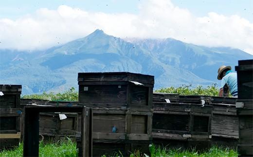 ã2026幎8æäžæ¬ããçºééå§ãåæµ·éäžå·çºç£çŽç²ã¯ã¡ã¿ã€ãã·ãã®æšïŒè©ææš¹ïŒ600ïœÃ2æ¬ã»ããã ã¯ã¡ã¿ã€ ã·ãã®æš åæµ·é äžå·çº 森æ¬éç©åº çŽç² ãã㌠èè å€©ç¶ åœç£ ã®ãã ãã¬ãŒã³ã æççš ãã¶ãŒãçš å¥åº· çŸå®¹ èªç¶ ç峿 é«å質 äžè³ª ã