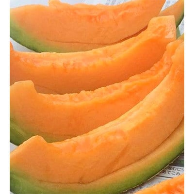 【2026年夏発送】岸田農園　赤肉メロン1玉(サイズ1.8kg以上)【1684611】