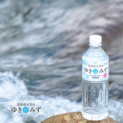 【毎月定期便】北海道大雪山　ゆきのみず　550ml×24本入り全10回【618】【4006864】