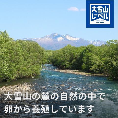 《先行予約》北海道大雪サーモン刺身用900g（約150g×6個程度）【 小分け サーモン 刺身 冷凍 鮭 北海道大雪サーモン さけ シャケ しゃけ カルパッチョ 高級 贈答 生食用 魚介類 厚切り 薄切り ふるさと納税 北海道 上川町 】