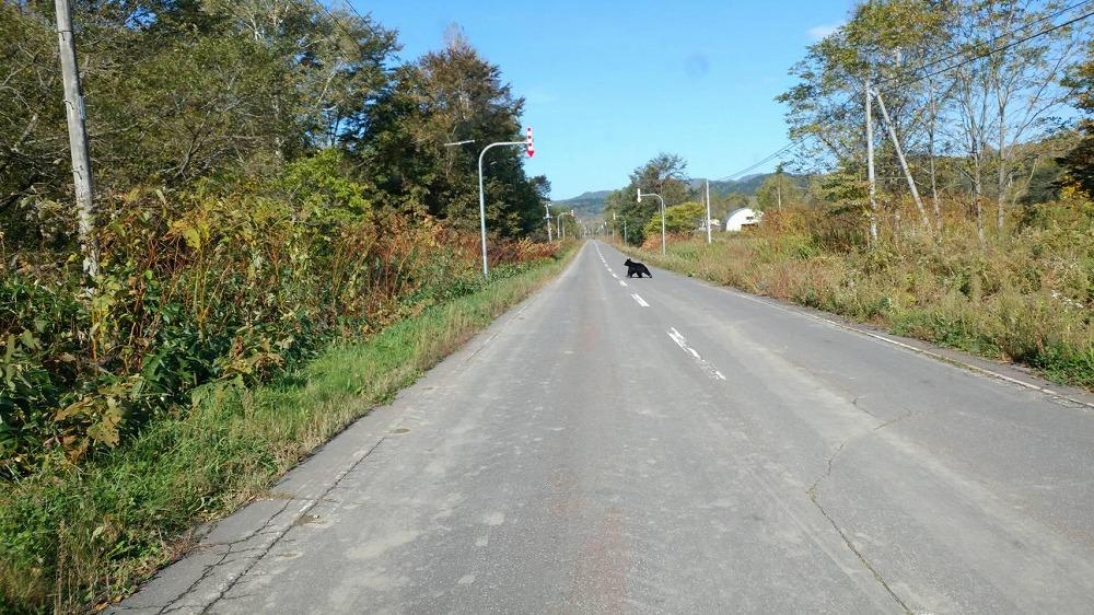 ã2026幎8æäžæ¬ããçºééå§ãåæµ·éäžå·çºç£çŽç²ã¯ã¡ã¿ã€ãã·ãã®æšïŒè©ææš¹ïŒ600ïœÃ2æ¬ã»ããã ã¯ã¡ã¿ã€ ã·ãã®æš åæµ·é äžå·çº 森æ¬éç©åº çŽç² ãã㌠èè å€©ç¶ åœç£ ã®ãã ãã¬ãŒã³ã æççš ãã¶ãŒãçš å¥åº· çŸå®¹ èªç¶ ç峿 é«å質 äžè³ª ã