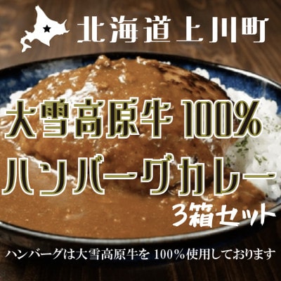大雪高原牛100%ハンバーグカレー250g×3箱 有名店ガクヤバーガー監修の男前仕立て 常温保存可【1701036】