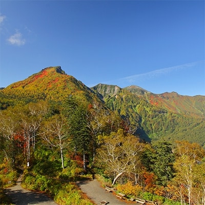 大雪山層雲峡・黒岳ロープウェイ　往復乗車引換券　小学生 1名様【302】【1086077】