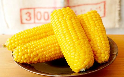 2026年夏発送 ★数量50限定品★ 北海道のとうもろこし「ゴールドラッシュ」 10本セット  (岸田農園産)【 野菜 とうもろこし ゴールドラッシュ 北海道 上川町 甘い 新鮮 夏限定 季節野菜 スイートコーン 農園直送 夏野菜 農家直送 】