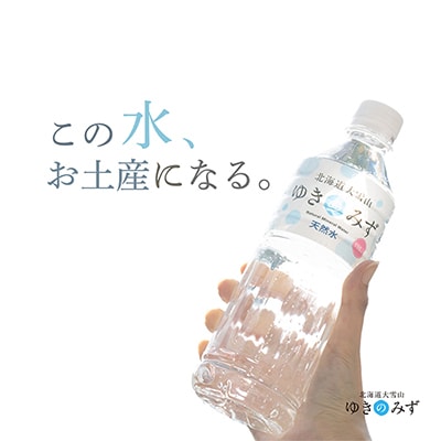 北海道大雪山　ゆきのみず　550ml×24本入り【601】【1086846】