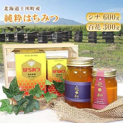 北海道上川町産　純粋はちみつ600g×1本(シナ)300g×1本(百花)【1301】【1099804】