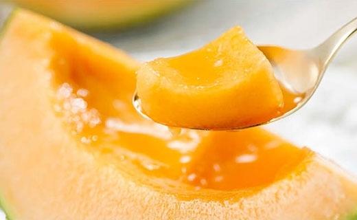 ★2026年夏発送★ 岸田農園産 北海道メロン 5玉入り(サイズ:1.7kg以上)【40セット限定】【 果物 メロン フルーツ 北海道 上川町 岸田農園 甘いジューシー 季節限定 甘みたっぷり メロンギフト 産地直送 くだもの 】