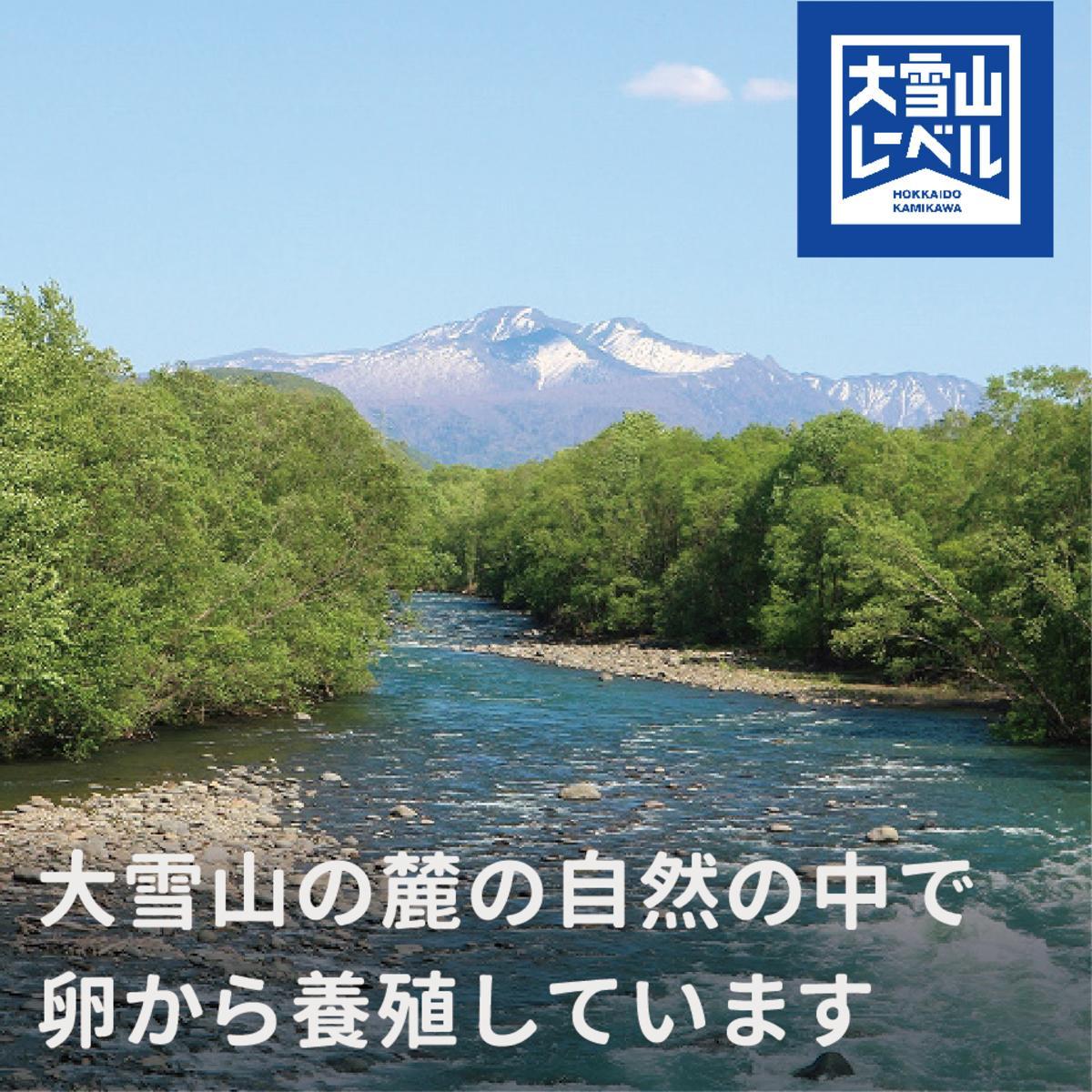《先行予約》北海道大雪サーモン純米吟醸酒粕漬け9切れ【 小分け サーモン 人気 ギフト お酒 日本酒 純米吟醸酒 加工食品 北海道 大雪 上川町 酒粕漬け 海鮮 グルメ 特産品 地域限定 贈答品 料理用 】