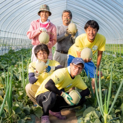 北海道上川町　岸田農園「極みメロン」　一株オーナー　【212】【1566575】