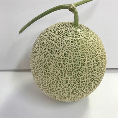 【2026年夏発送】岸田農園産 青肉メロン 3玉入り(サイズ:1玉1.5kg以上)【205】【1087005】