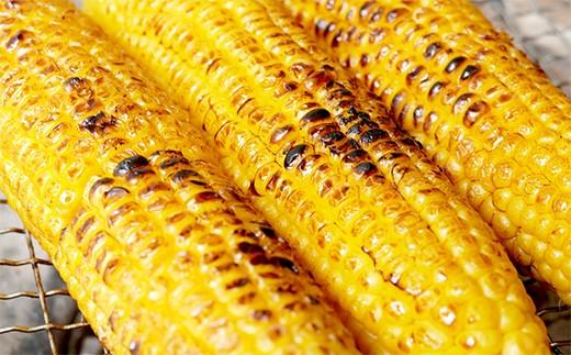 2026年夏発送 ★数量50限定品★ 北海道のとうもろこし「ゴールドラッシュ」 10本セット  (岸田農園産)【 野菜 とうもろこし ゴールドラッシュ 北海道 上川町 甘い 新鮮 夏限定 季節野菜 スイートコーン 農園直送 夏野菜 農家直送 】