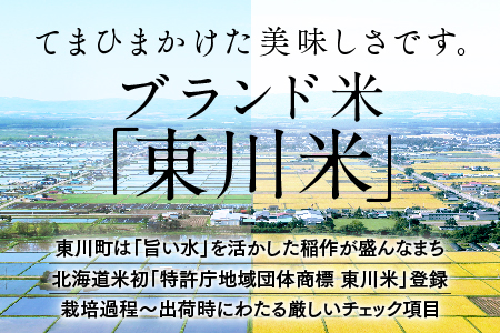 【6回定期便】東川米 「ゆめぴりか」無洗米5kg+水セット（2025年2月下旬より発送予定）