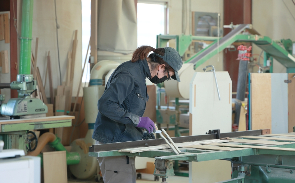 SORIDOME chair縲讓ケ遞ョシ壹え繧ゥ繝シ繝ォ繝翫ャ繝医繧ォ繝ゥ繝シシ壹吶シ繧ク繝・