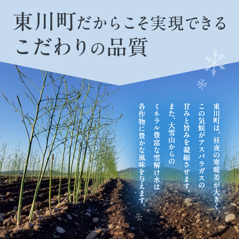 【大坪農園】≪2026年 先行予約≫ 「2L採れたてアスパラ」＆「トノトの白 2024」ペアリングセット