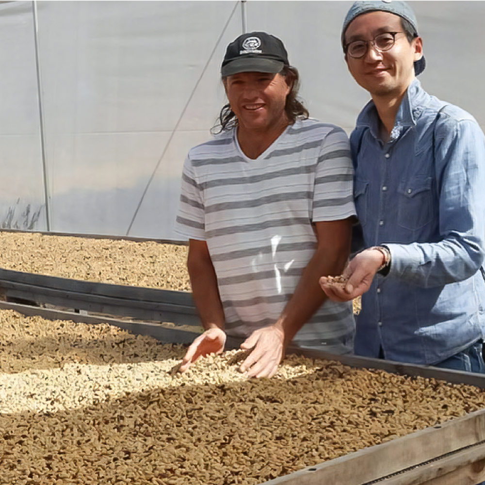 【定期便】「yoshinori coffee」スペシャルティコーヒーセット　３ヵ月コース【豆】