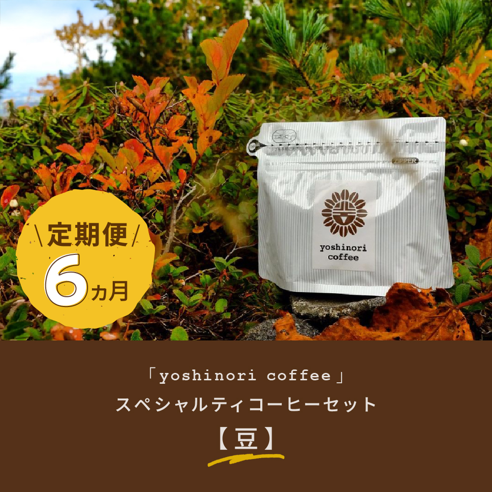 【定期便】「yoshinori coffee」スペシャルティコーヒーセット　６ヵ月コース【豆】