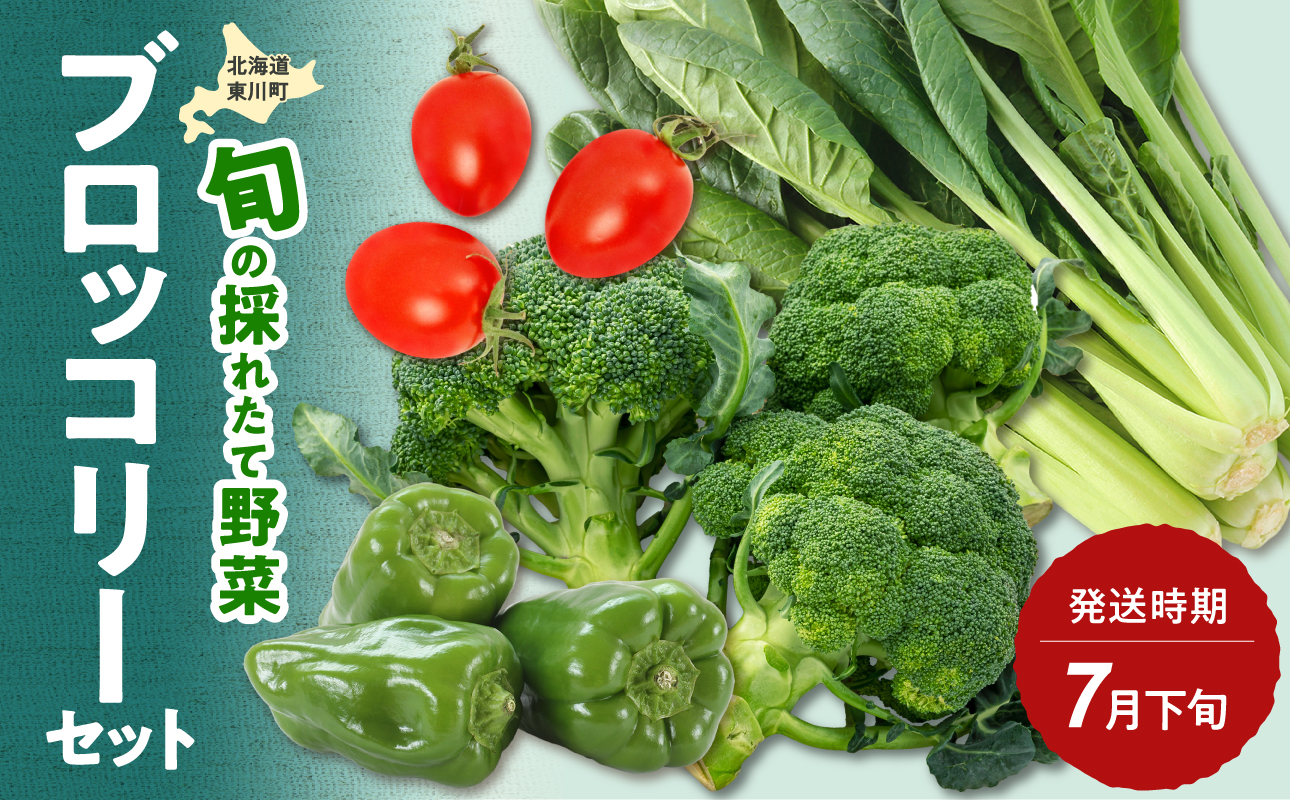 【7月下旬発送】旬の採れたて野菜「ブロッコリーセット」
