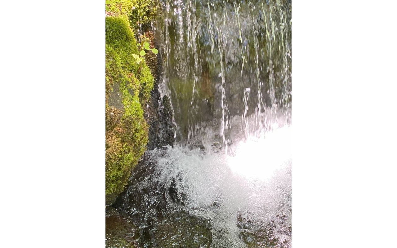 Higashikawa Ale 3本セット