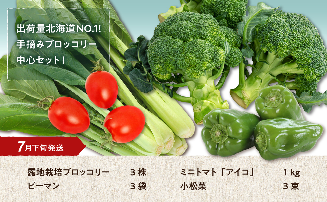 【7月下旬発送】旬の採れたて野菜「ブロッコリーセット」