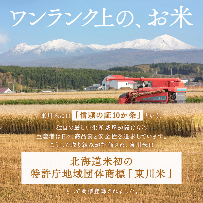 縲 莉、蜥鯉シ伜ケエ逕」 譁ー邀ウ 縲代 6繝オ譛 螳壽悄萓ソ 縲 蛹玲オキ驕 譚ア蟾晉アウ 繧繧√エ繧翫°縲檎區邀ウ縲10kgシ2026蟷エ10譛井クュ譌ャ繧医j逋コ騾∽コ亥ョ夲シ ス 迚ケA 驫俶氛邀ウ 繝悶Λ繝ウ繝臥アウ 蛹玲オキ驕鍋アウ 蜊倅ク邀ウ 逕」蝨ー髯仙ョ夂アウ 縺薙a 縺翫%繧 邀ウ 縺顔アウ 縺秘」ッ 縺斐ッ繧 譚ア蟾晉伴