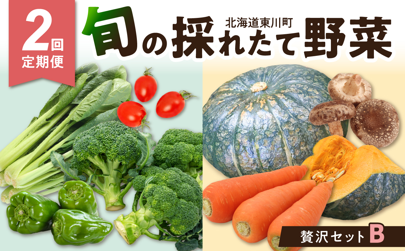 【2回定期便】旬の採れたて野菜「贅沢セットB」