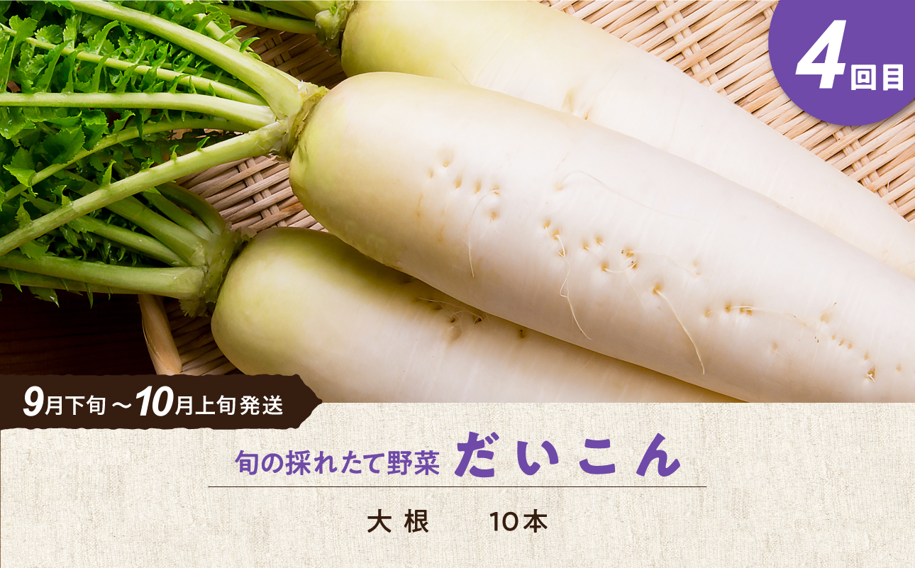 【5回定期便】旬の採れたて野菜「贅沢セットＣ」