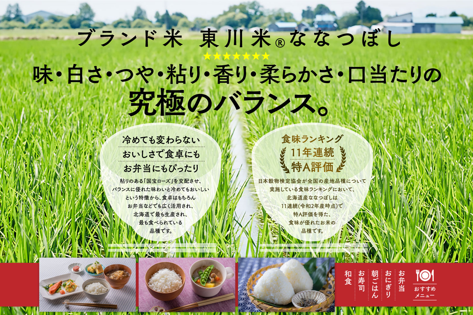 【3ヶ月定期便】東川米ななつぼし「白米」12kg【21003063】
