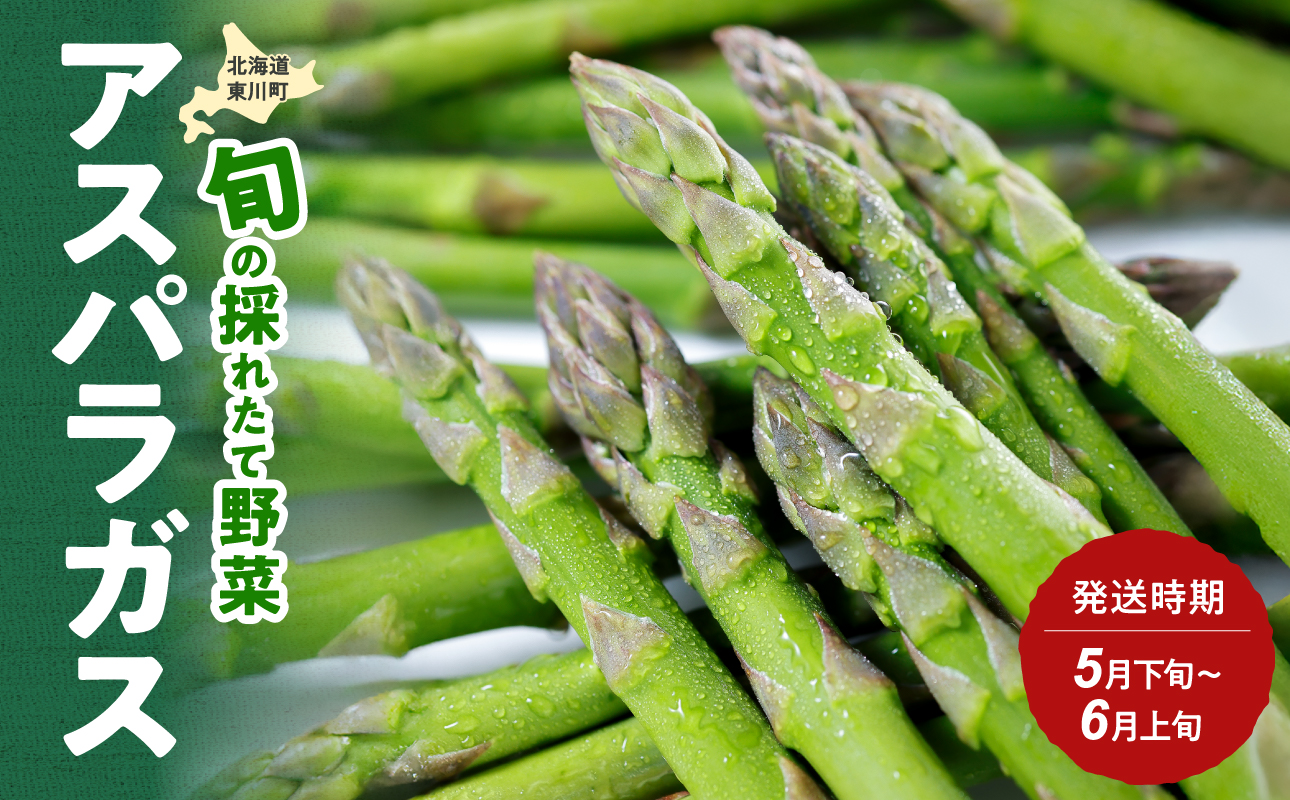 【5月下旬〜6月上旬発送】旬の採れたて野菜「アスパラガス」