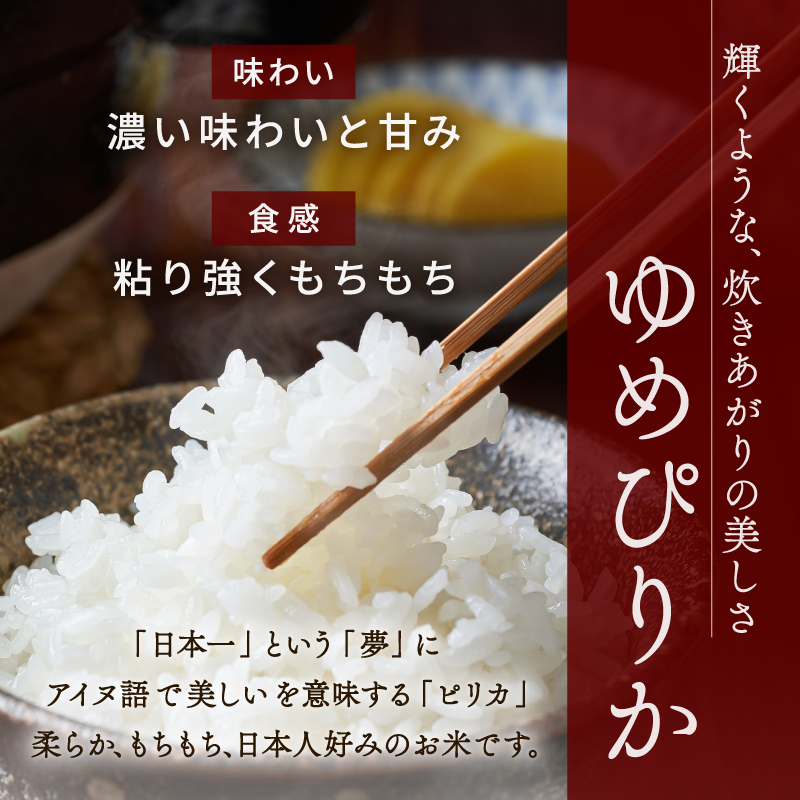 縲蝉サ、蜥鯉シ伜ケエ逕」 譁ー邀ウ 蜈郁。御コ育エ縲第擲蟾晉アウ繧繧√エ繧翫°縲檎┌豢礼アウ縲5kgシ2026蟷エ10譛井クュ譌ャ逋コ騾∽コ亥ョ夲シ