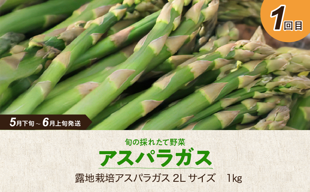 【3回定期便】旬の採れたて野菜「贅沢セットA」