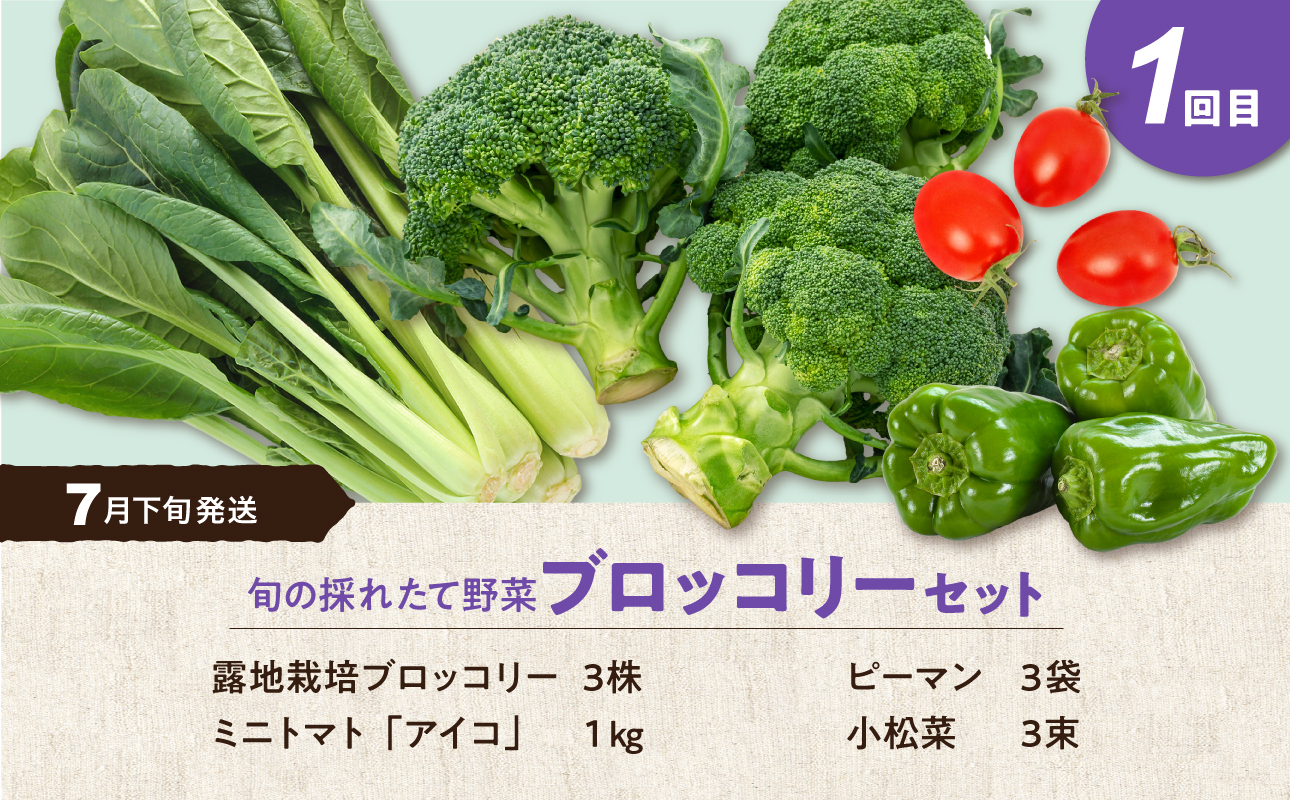 【5回定期便】旬の採れたて野菜「贅沢セットＣ」