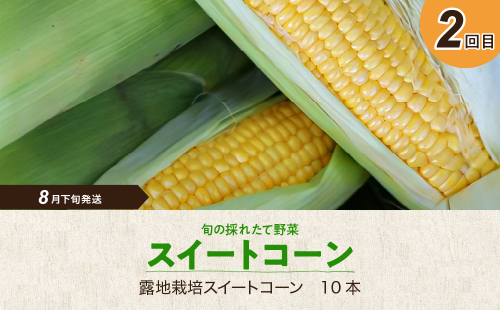 【3回定期便】旬の採れたて野菜「贅沢セットA」