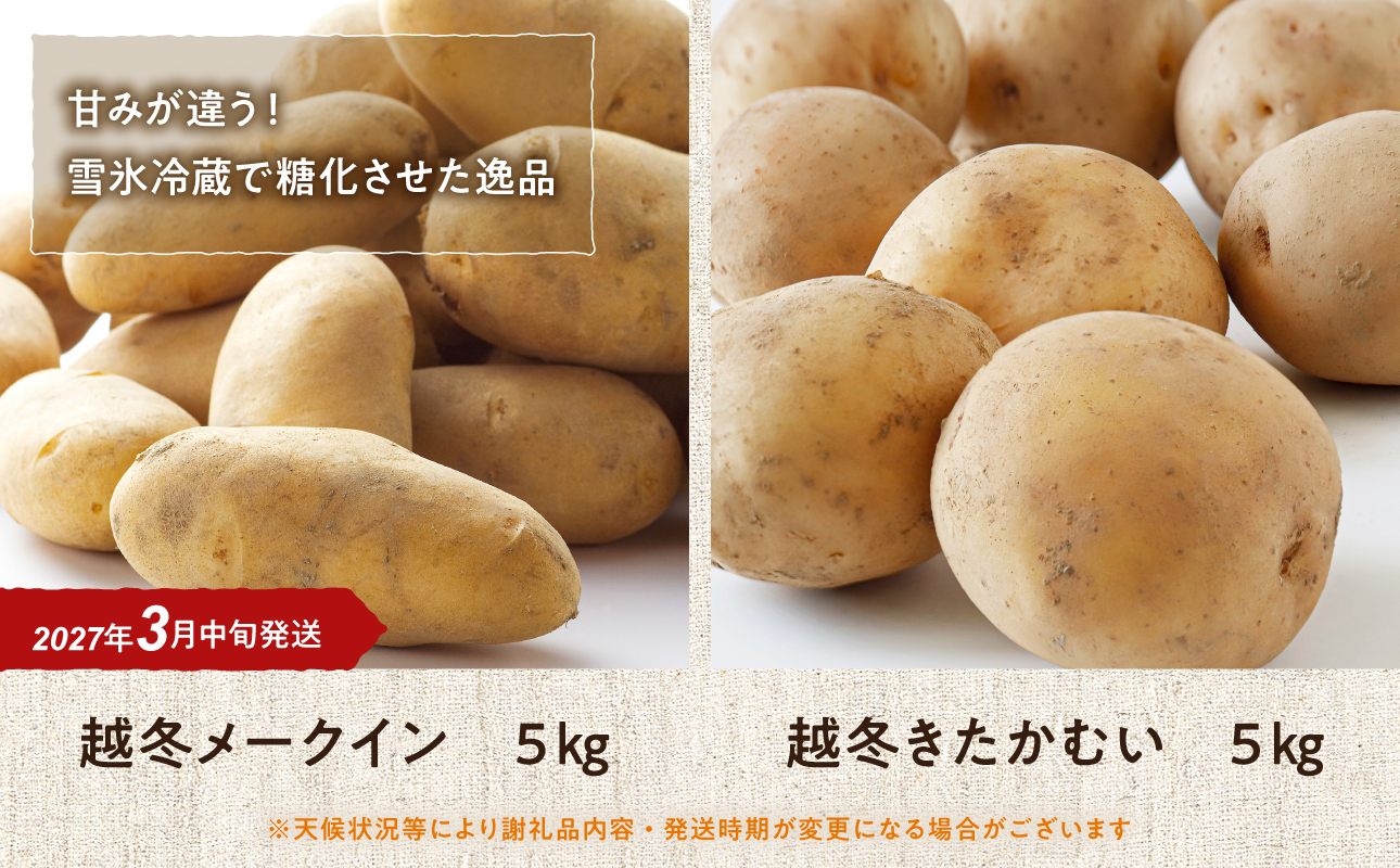 【3月中旬発送】旬のお野菜「越冬ジャガイモセットB」（メークイン・きたかむい 計10kg）