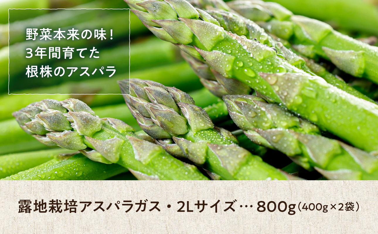 【5月下旬〜6月上旬発送】旬の採れたて野菜「アスパラガス」