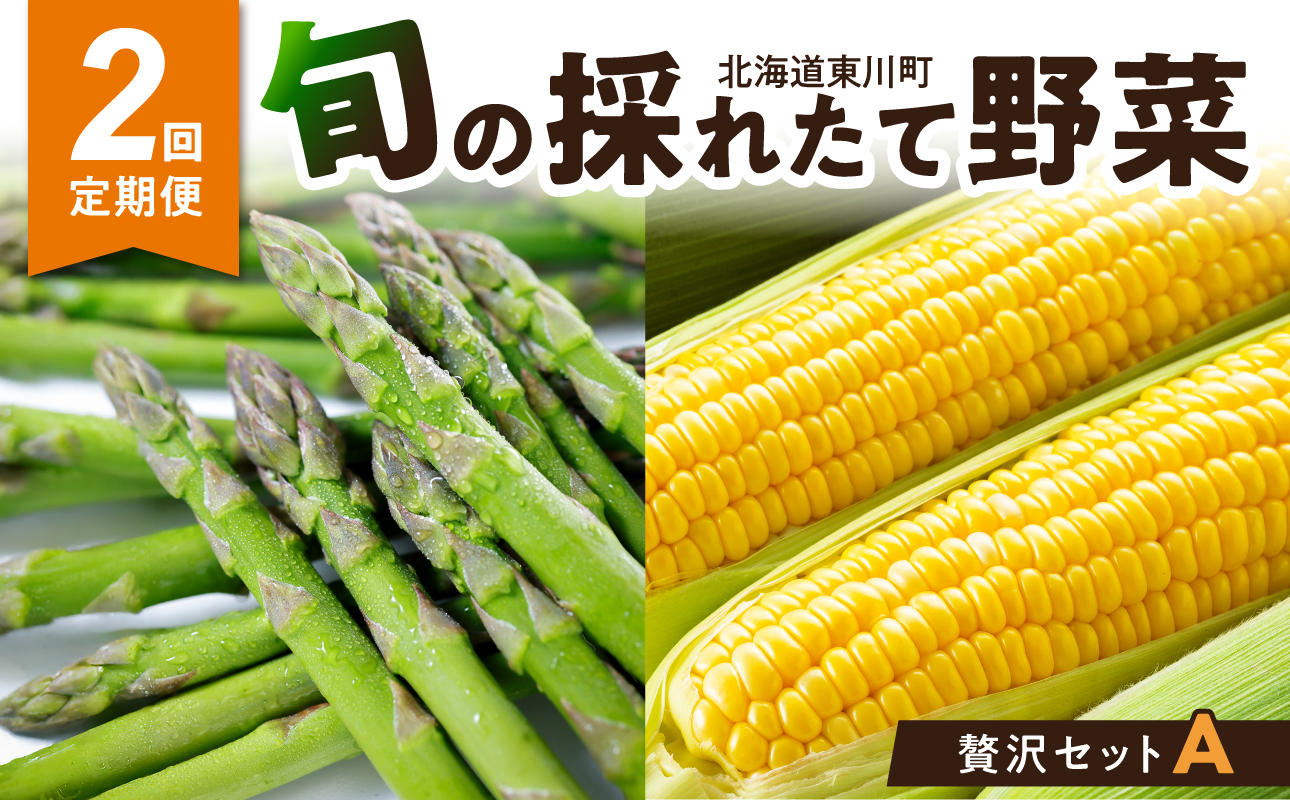 【2回定期便】旬の採れたて野菜「贅沢セットA」