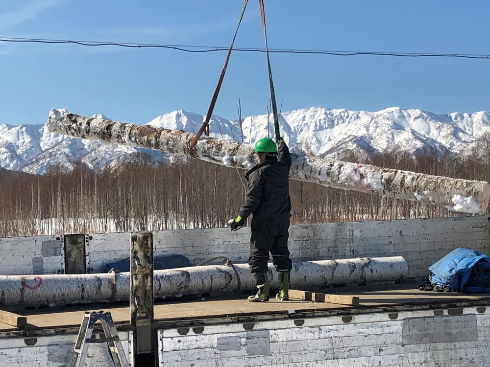 ãæšãšæ®ããã®å·¥æ¿ãã·ã©ã«ãã»ãã¬ãŒãïŒãµã€ãºïŒSïŒã«ã©ãŒïŒGreenïŒç·ïŒïŒ