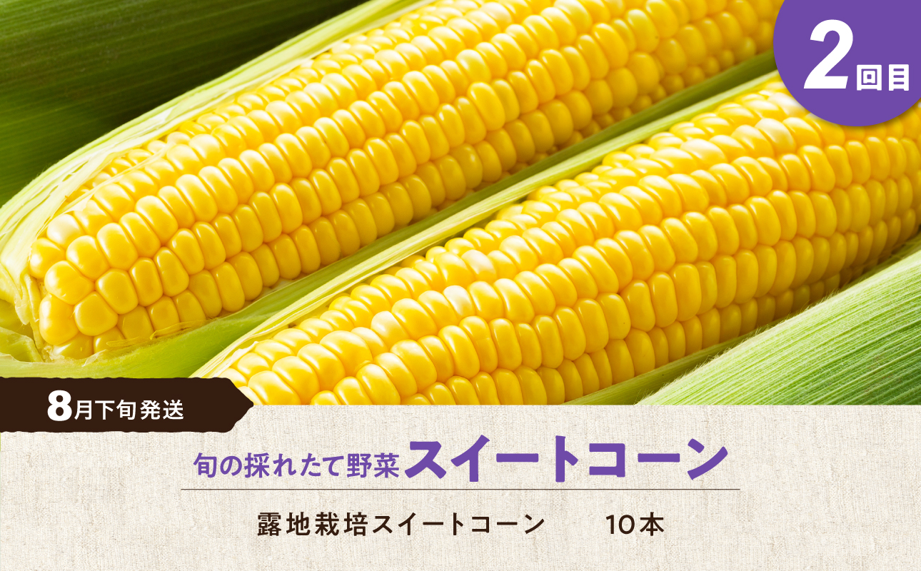 【5回定期便】旬の採れたて野菜「贅沢セットＣ」