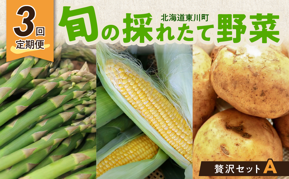 【3回定期便】旬の採れたて野菜「贅沢セットA」