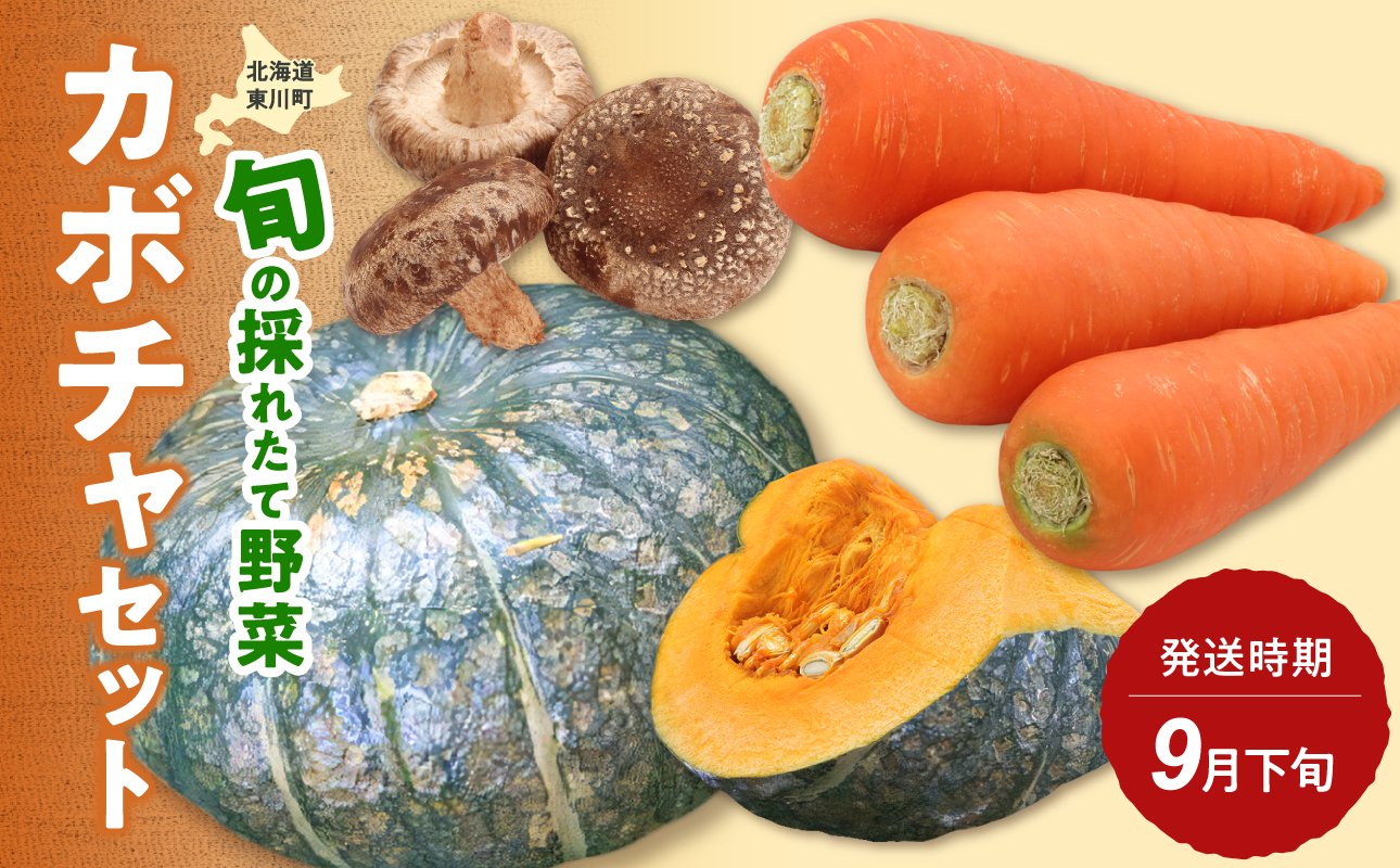 【9月下旬発送】旬の採れたて野菜「カボチャセット」