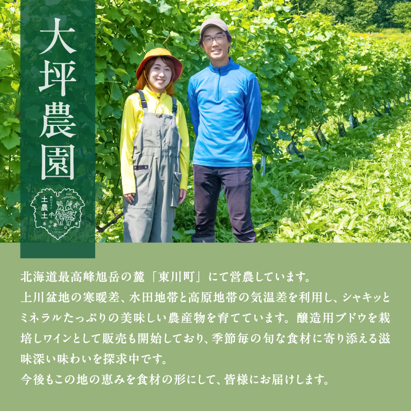 【大坪農園】≪2026年 先行予約≫ 「2L採れたてアスパラ」＆「トノトの白 2024」ペアリングセット